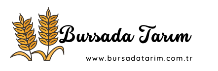 Bursa Tarım Haberleri