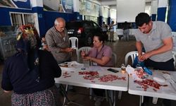 Antalya'da Bayramda Ücretsiz Kurban Kesimi Yapılacak