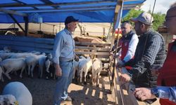Giresun İl Tarım ve Orman Müdürlüğü kurbanlıkları denetledi