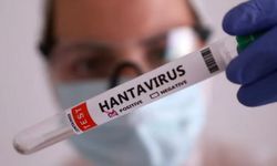 Kars VHO Başkanı Ödül: Türkiye’de Hantavirüs Vakası Yok