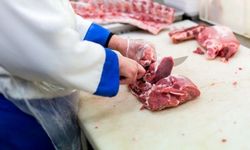 Küresel Kırmızı Et Pazarında Dengeler Sarsılıyor: Fiyatlar Rekor Kırdı
