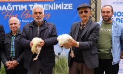 Samsun Büyükşehir Belediyesi Üreticilere Kaz Palazı Dağıttı