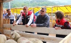 Samsun İl Tarım Müdürlüğü Kurbanlık Alacakları Uyardı