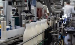 TÜİK: Martta İçme Sütü Üretimi Yüzde 10,5 Arttı