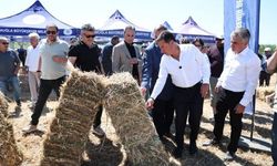 Muğla Büyükşehir Belediyesi Milas'ta Yem Desteği Dağıttı