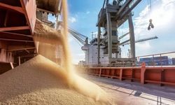 Türkiye Rusya'dan En Çok Tarım Ürünü Alan 2. Ülke Oldu
