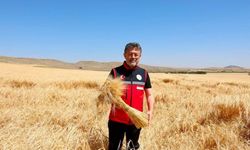 Bakan Yumaklı: Hububat Alımı 8,3 Milyon Tona Ulaştı