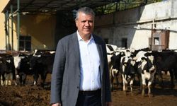 CHP'li Barut: Çiğ süt fiyatı üreticiyi mağdur ediyor