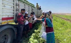 Diyarbakır Büyükşehir Belediyesi Mevsimlik Tarım İşçilerini Ziyaret Etti