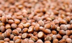 Ferrero, sürdürülebilir tarım yatırımlarındaki ilerlemeyi açıkladı