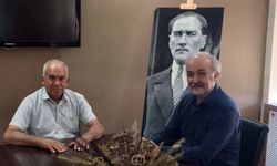 Söke Ziraat Odası Başkanı: Pamukta ekim alanı yüzde 60 düştü