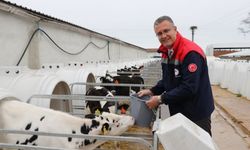 Samsun İl Tarım: Kırsal kalkınma başvuruları %62 arttı