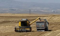 TMO: 12,2 Milyar Lira Hububat Ödemesini Hesaplara Aktardı