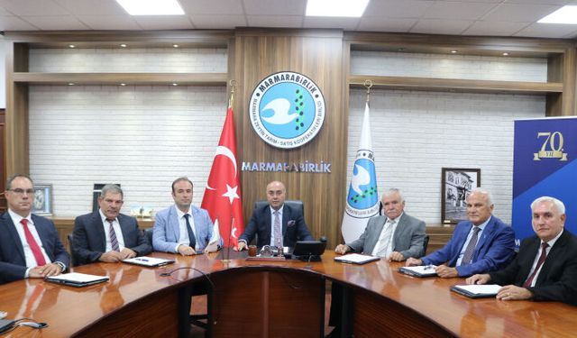 Zeytin üreticisine son dilim ödemelerin tarihi belli oldu