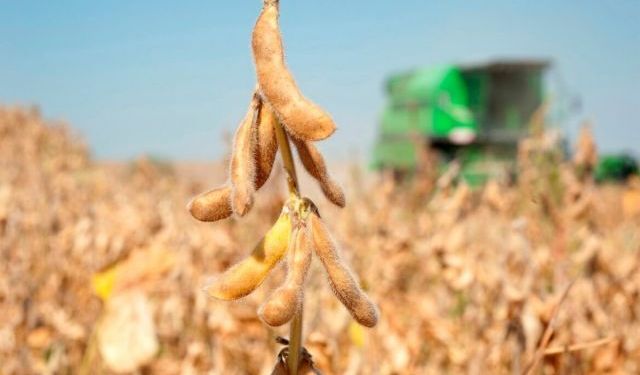 Brezilya’da Soya İhracatı Karayolu Taşımacılığını %15 Artırdı