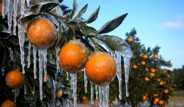 Meteoroloji: Kuvvetli yağış ve zirai don riski var