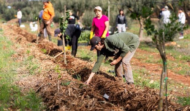 Buğday Derneği: MAPPING Projesi Akdeniz’de Başladı
