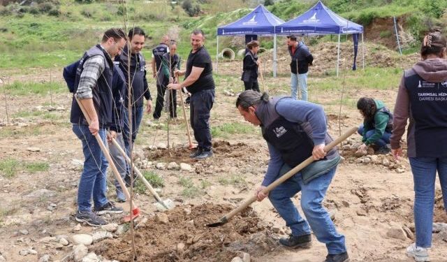 İzmir Büyükşehir’den Beydağ’da üreticiye çift yönlü destek