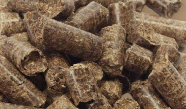 Küresel yem üretimi 1,44 milyar tona çıktı