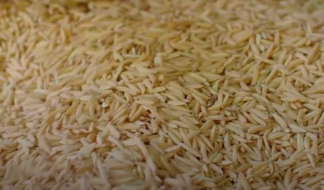 Toprak Mahsulleri Ofisi: Pirinç Satışı İddialarını Yalanladı