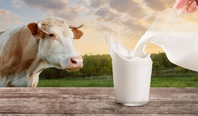 TÜSEDAD: Mart’ta 1 Litre Süt Üretim Maliyeti 28,13 TL