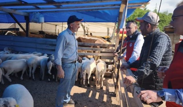 Giresun İl Tarım ve Orman Müdürlüğü kurbanlıkları denetledi