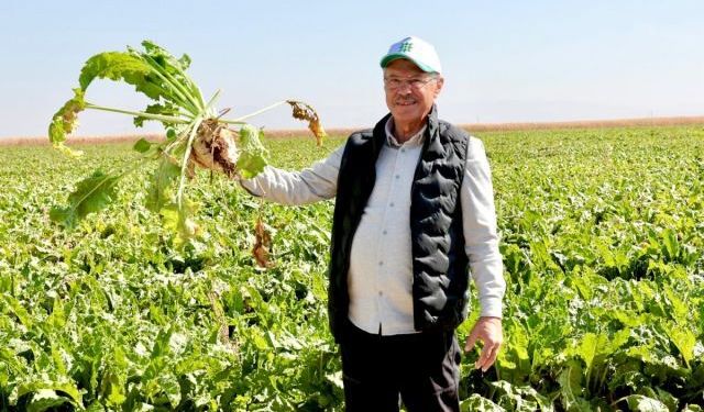 Kayseri Şeker 2026 Yılı Çiftçi Avans Ödeme Takvimini Açıkladı