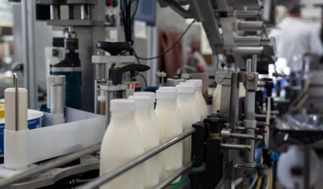 TÜİK: Martta İçme Sütü Üretimi Yüzde 10,5 Arttı