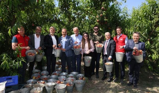 Türkiye Şeftali İhracatında Yüzde 347'lik Rekor Artış Yakaladı