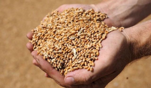 Bangladeş Gıda Bakanlığı: Buğday İthalatı Yüzde 25 Arttı