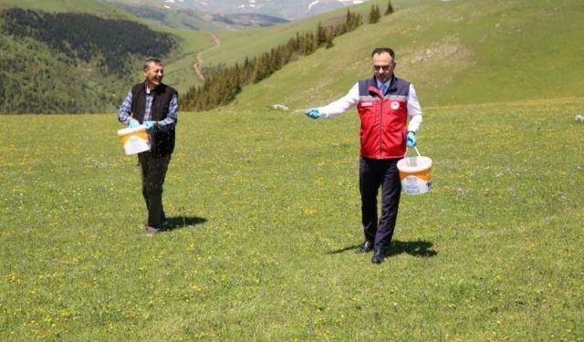 Giresun Tarım Müdürlüğü Dereli’de mera gübrelemesi yaptı