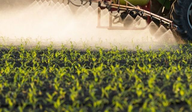 Science: AB'nin pestisit planı Türkiye'yi de etkileyebilir