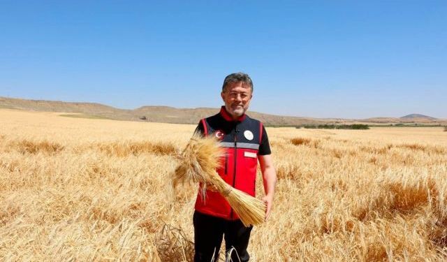 Bakan Yumaklı: Hububat Alımı 8,3 Milyon Tona Ulaştı