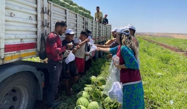 Diyarbakır Büyükşehir Belediyesi Mevsimlik Tarım İşçilerini Ziyaret Etti