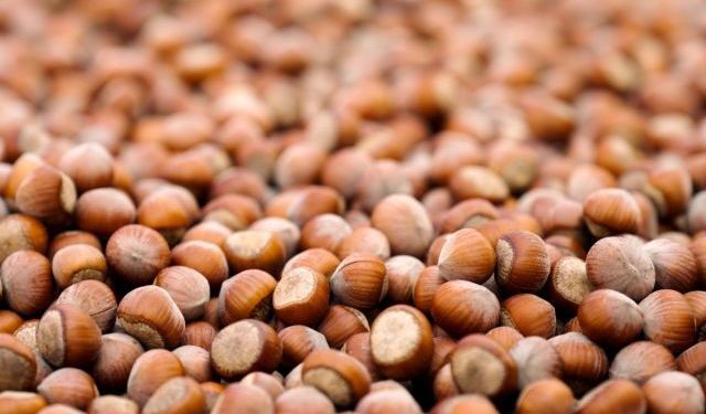 Ferrero, sürdürülebilir tarım yatırımlarındaki ilerlemeyi açıkladı