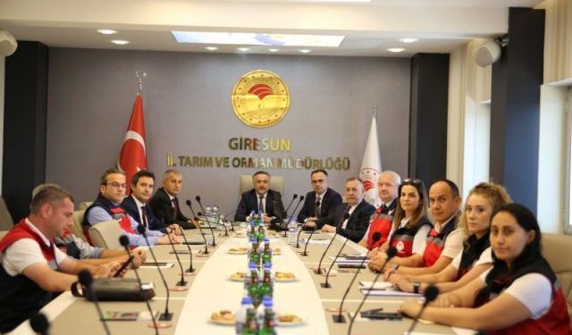Giresun'da B-Reçete ve kahverengi kokarca masaya yatırıldı