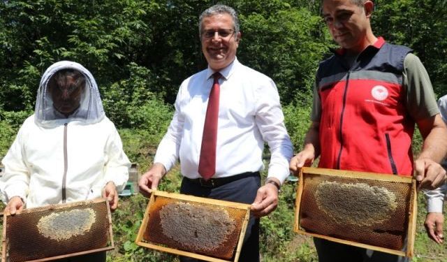 Samsun'da Coğrafi İşaretli Salıpazarı Kestane Balı Hasadı Başladı