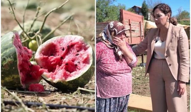 Tekirdağ'da dolu zararının ardından Yüceer'den üreticiye destek