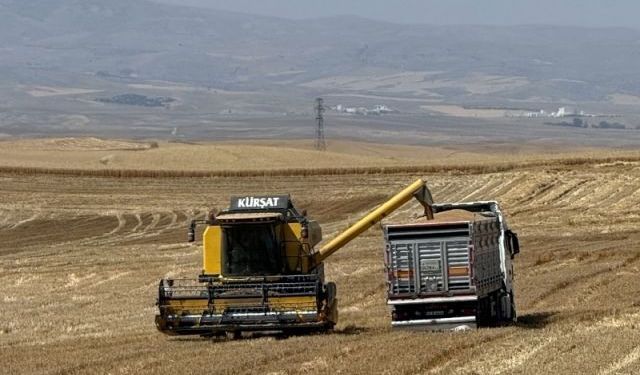 TMO: 12,2 Milyar Lira Hububat Ödemesini Hesaplara Aktardı