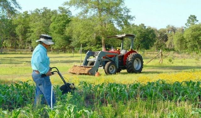 TÜİK: Tarım-ÜFE haziranda yıllık yüzde 9,55 arttı