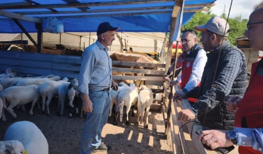 Giresun İl Tarım ve Orman Müdürlüğü kurbanlıkları denetledi