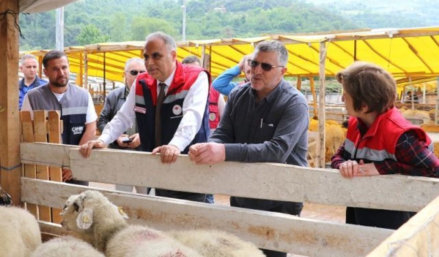 Samsun İl Tarım Müdürlüğü Kurbanlık Alacakları Uyardı
