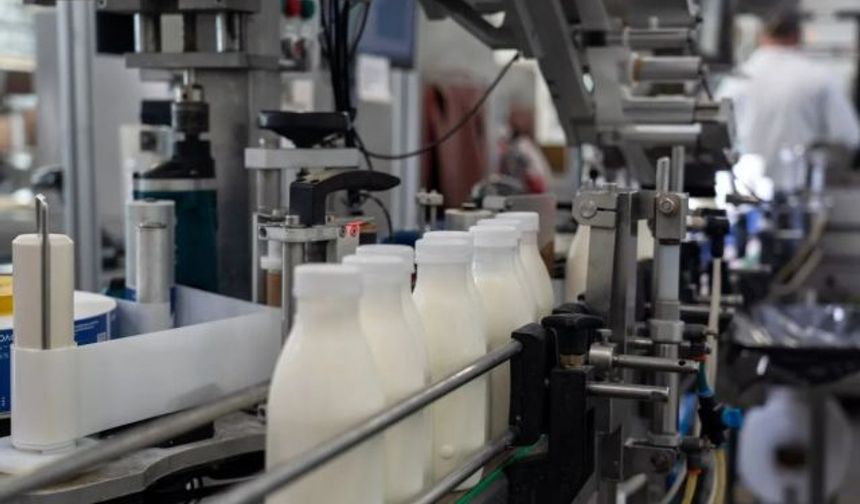 TÜİK: Martta İçme Sütü Üretimi Yüzde 10,5 Arttı