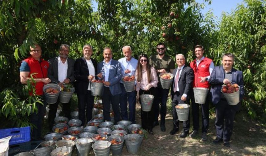 Türkiye Şeftali İhracatında Yüzde 347'lik Rekor Artış Yakaladı