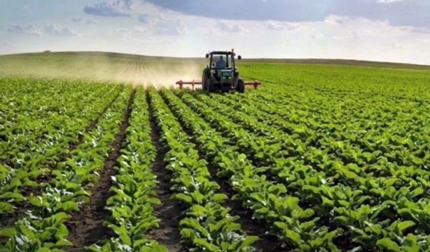 Kayseri Şeker'den Üreticiye 488,7 Milyon TL Çapa Avansı