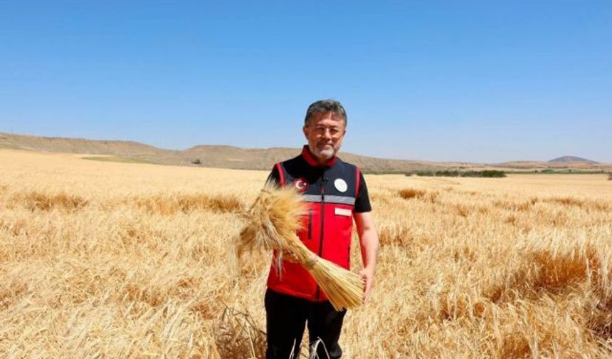Bakan Yumaklı: Hububat Alımı 8,3 Milyon Tona Ulaştı