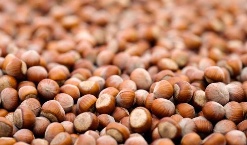 Ferrero, sürdürülebilir tarım yatırımlarındaki ilerlemeyi açıkladı