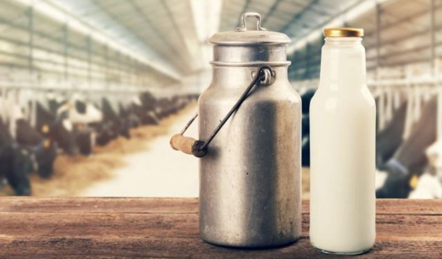 TÜSEDAD: Haziran Ayı Çiğ Süt Üretim Maliyeti 26,97 TL
